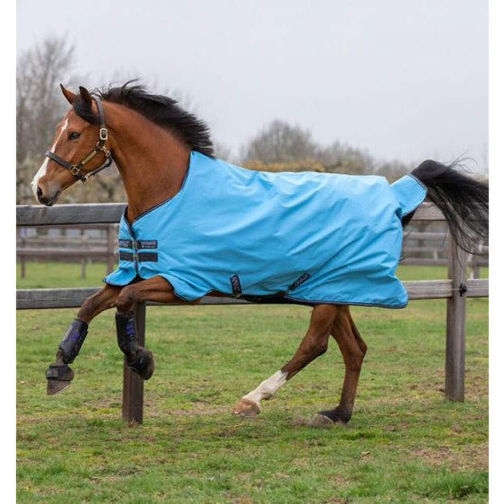 72" OF Horseware Amigo Hero 900 0g Lite Waterproof Turnout Sheet No Fill Classic Front Horse Rain Sheet Capri/Gunmetal