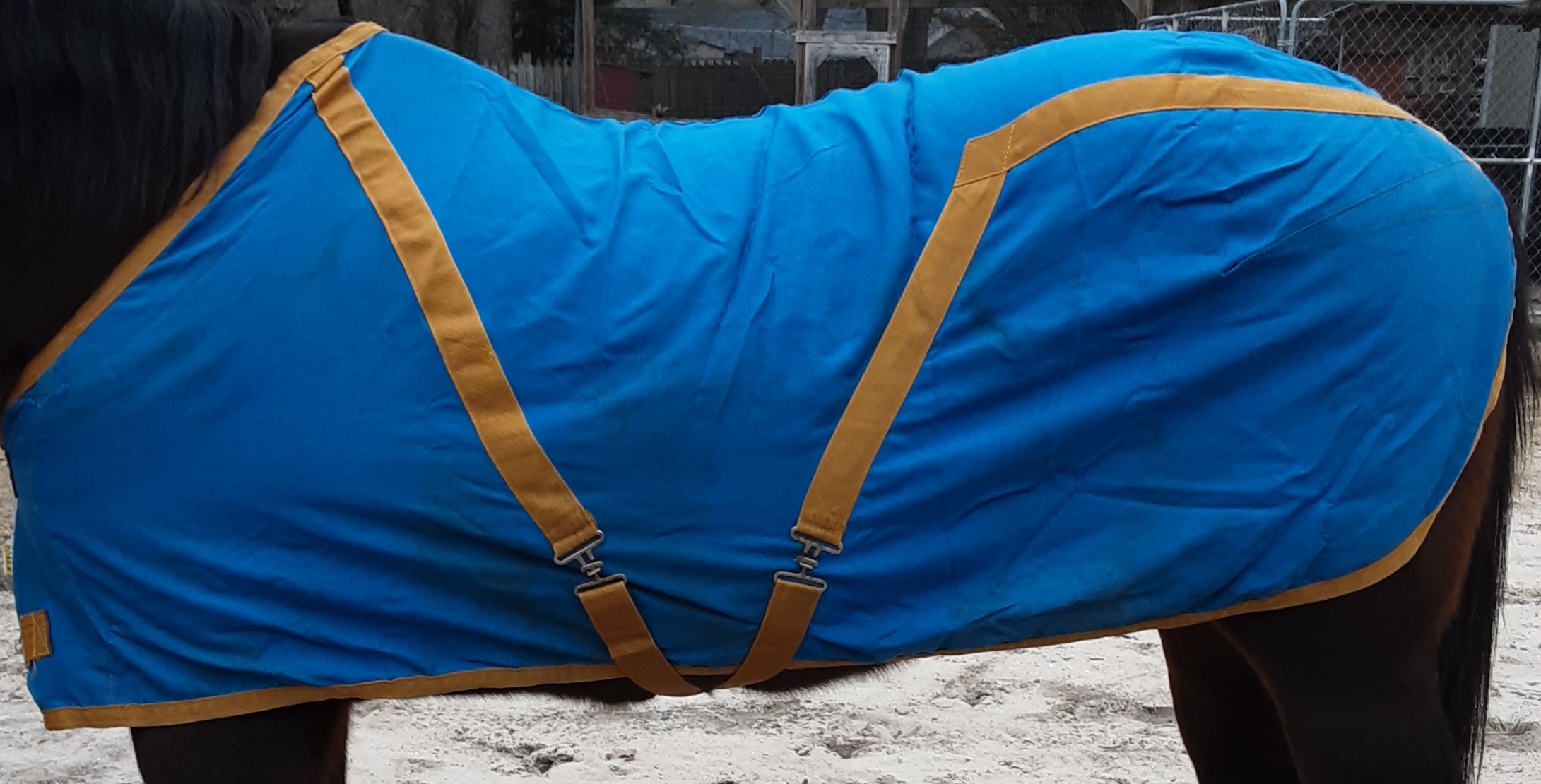 72" - 74” OF Stable Sheet Horse Blue/Gold