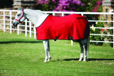 64” OF Big D Cotton Stable Sheet Summer Turnout Sheet Pony Small Horse Maroon/Silver