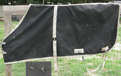 76” - 78" OF Nylon Turnout Sheet Rain Sheet Horse Navy Blue