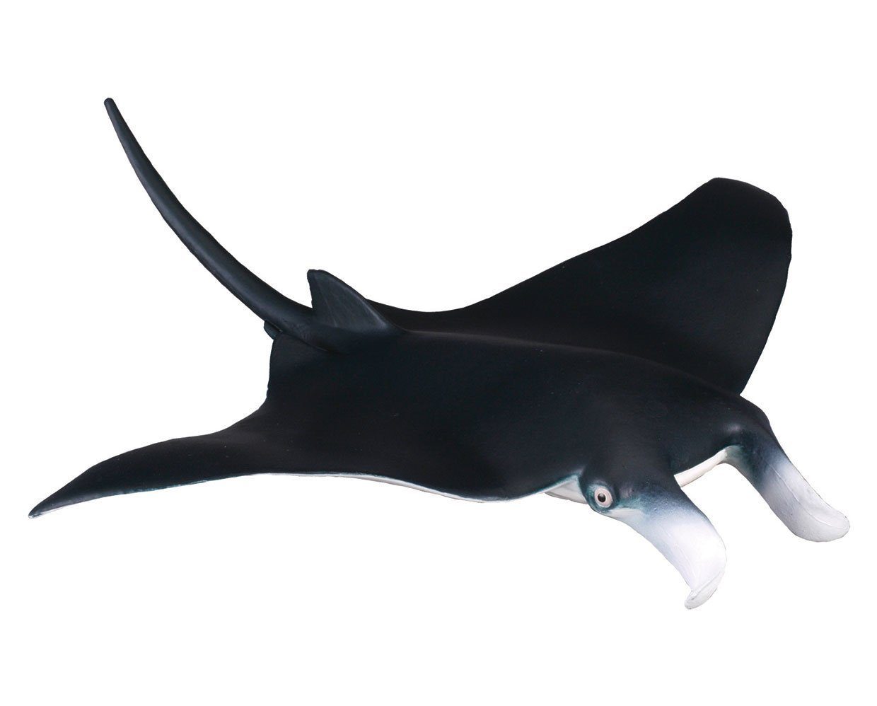 #88040 Breyer CollectA Manta Ray Marine Mammal Sea Life