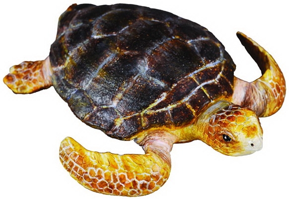 #88094 Breyer CollectA Loggerhead Turtle Marine Mammal Sea Life