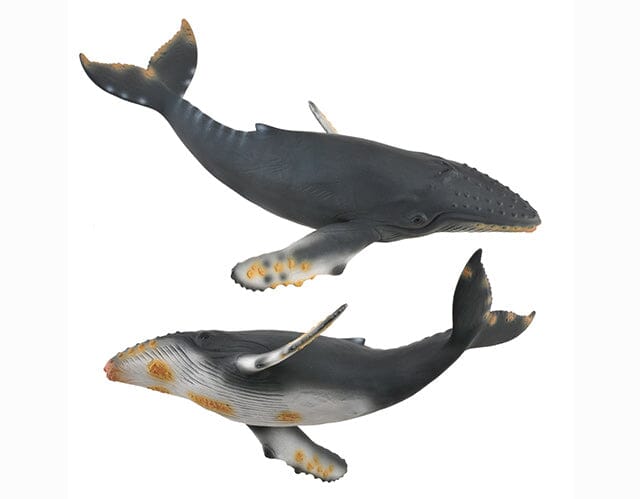 #88347 Breyer CollectA Humpback Whale Sea Life