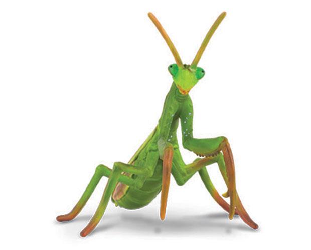 #88351 Breyer CollectA Praying Mantis Insect Life