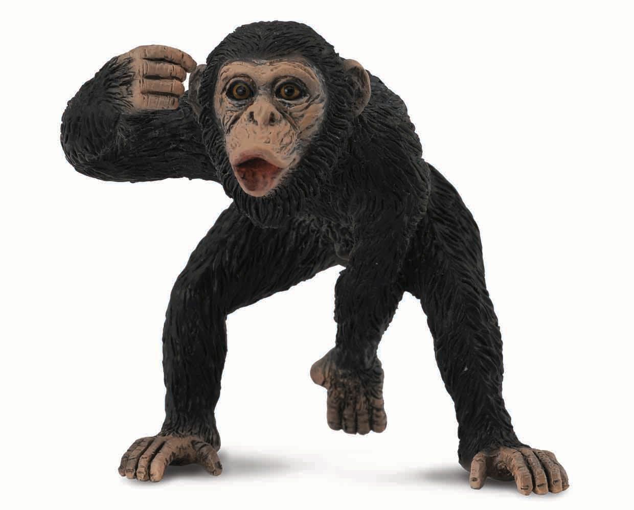 #88492 Breyer CollectA Chimpanzee Male Safari Jungle Wildlife