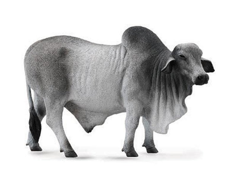 #88579 Breyer CollectA Grey Brahma Bull Farm Life
