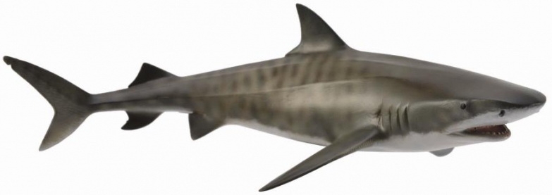 #88661 Breyer CollectA Tiger Shark Marine Mammal Sea Life