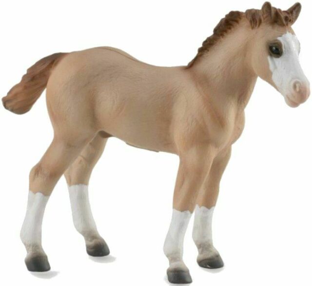 #88814 Breyer CollectA Red Dun Quarter Horse Foal Dun QH Foal