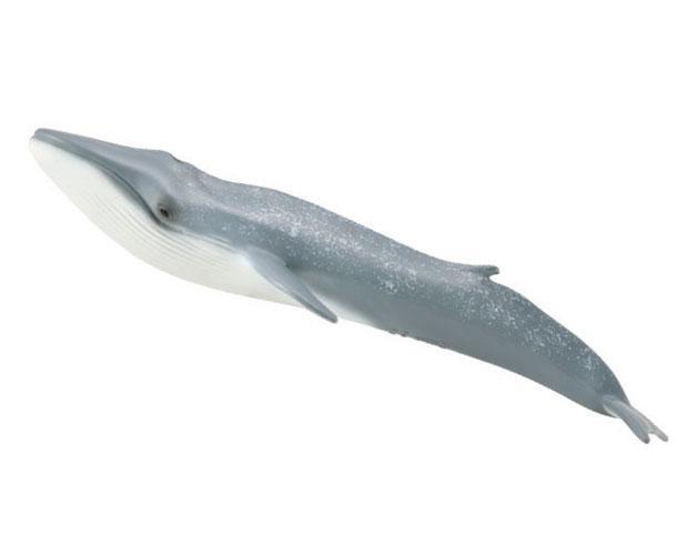 #88834 Breyer CollectA Blue Whale Marine Sea Life