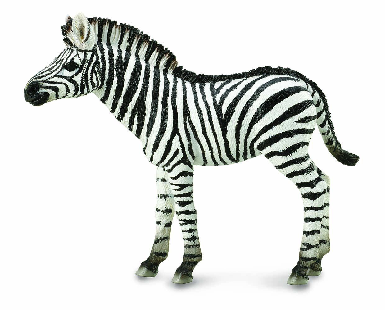 #88850 Breyer CollectA Common Zebra Foal Safari Jungle Wildlife