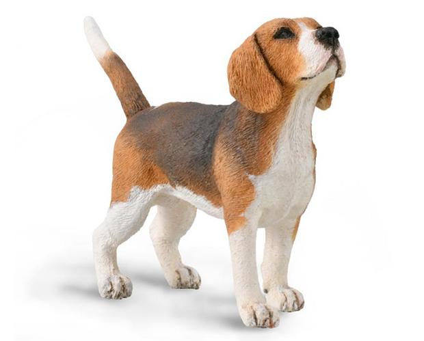 #88935 Breyer CollectA Tricolor Beagle Dog