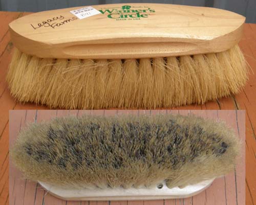 Winners Circle Natural Fiber Dandy Brush Soft & Stiff Brush Horse Grooming Brush