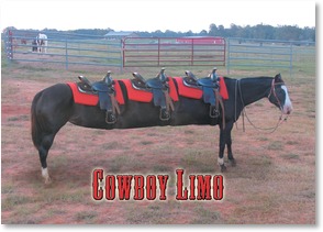 Birthday Card Leanin' Tree Greeting Card Cowboy Limo Saddled Stretch Horse Card Connie Haley