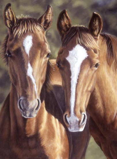 Tango & Cash Horse Note Card Tree Free Greetings 2 Horses Blank Greeting Card Victoria W Schultz