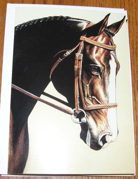 Horse In English Bridle Note Card For Framing Hunter Jumper TB WB Horse Blank Greeting Card Kind Eye Janet Griffin Scott