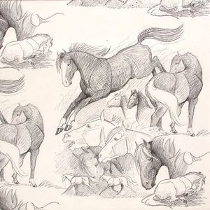 Stallions White Gift Wrap Horse Wrapping Paper