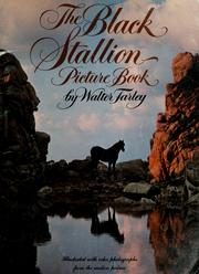 The Black Stallion Picture Book Vintage Horse Book By Walter Farley
