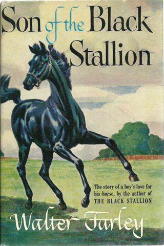 Son Of The Black Stallion Vintage Horse Book By Walter Farley