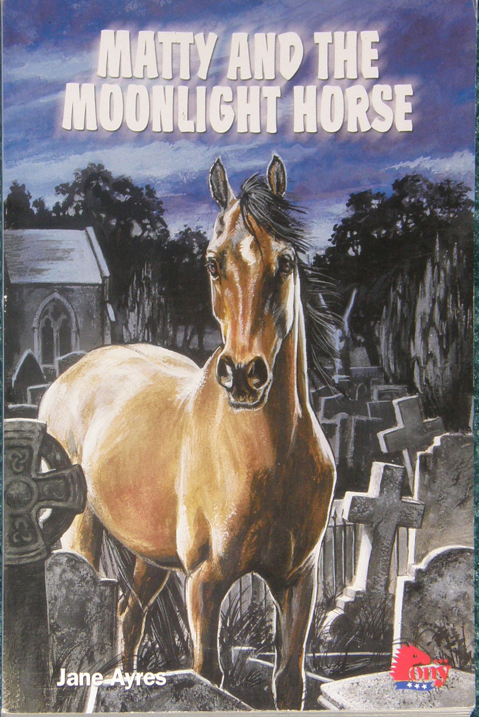 Matty And The Moonlight Horse Book by Jane Ayres