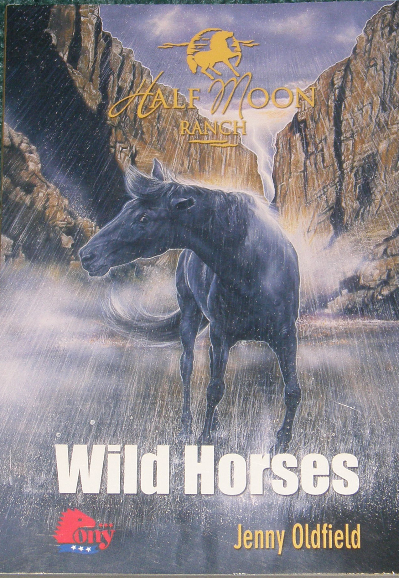 Wild Horses Pony Series Half Moon Ranch Volume 1 Horse Book by Jenny Oldfield