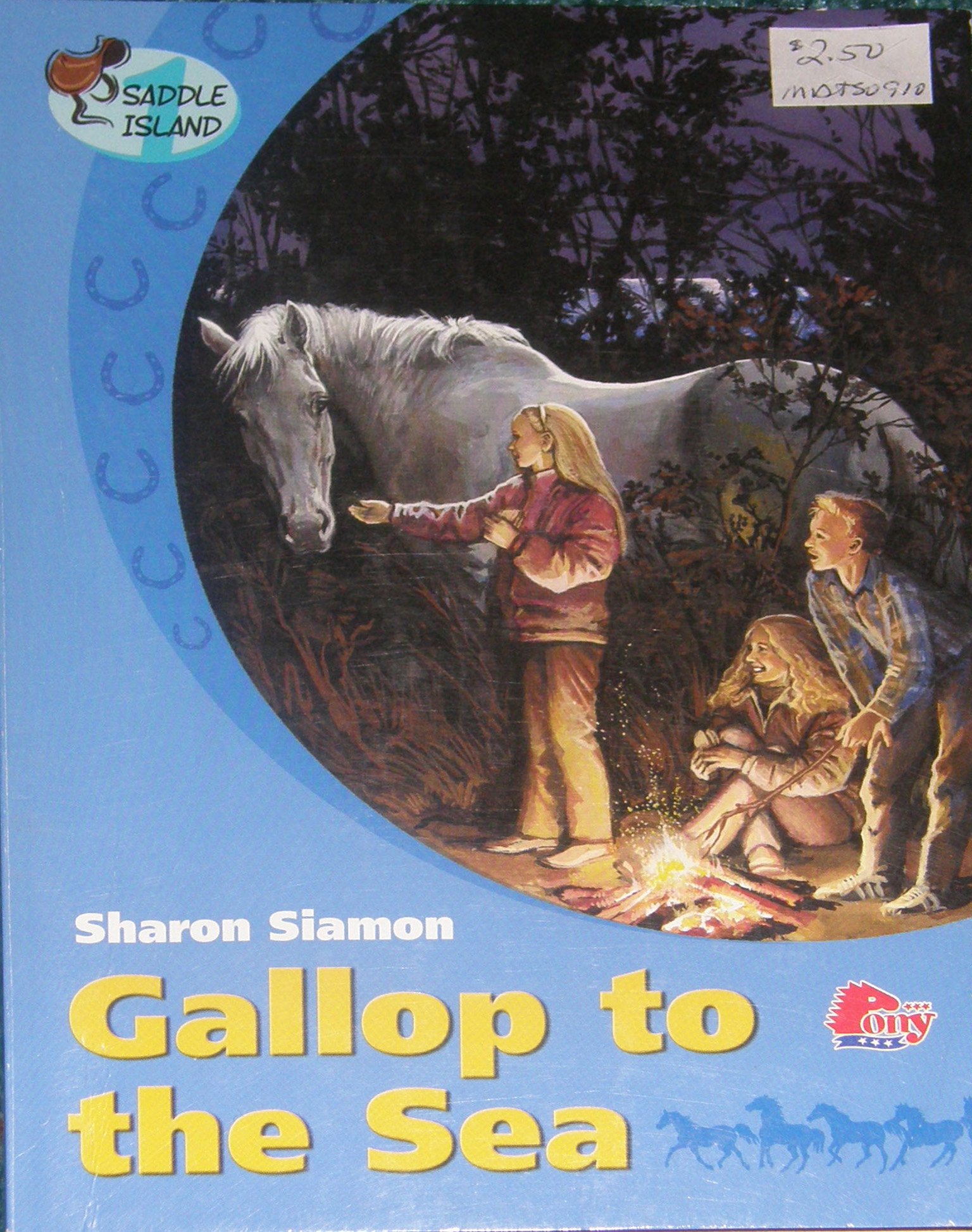 Gallop To The Sea Saddle Island series Horse Book by Sharon Siamon