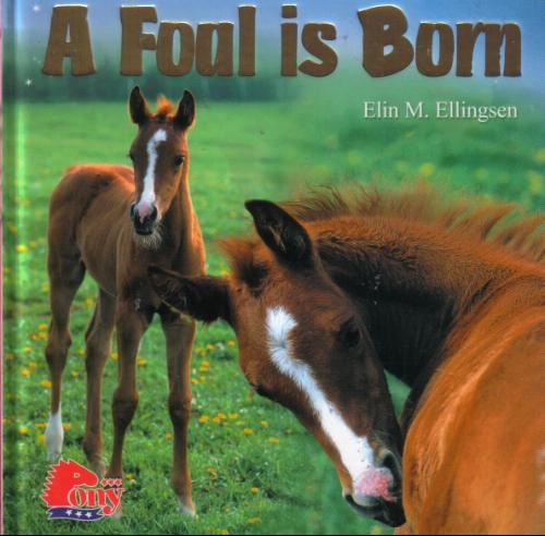 A Foal is Born Horse Book by Elin M. Ellingsen