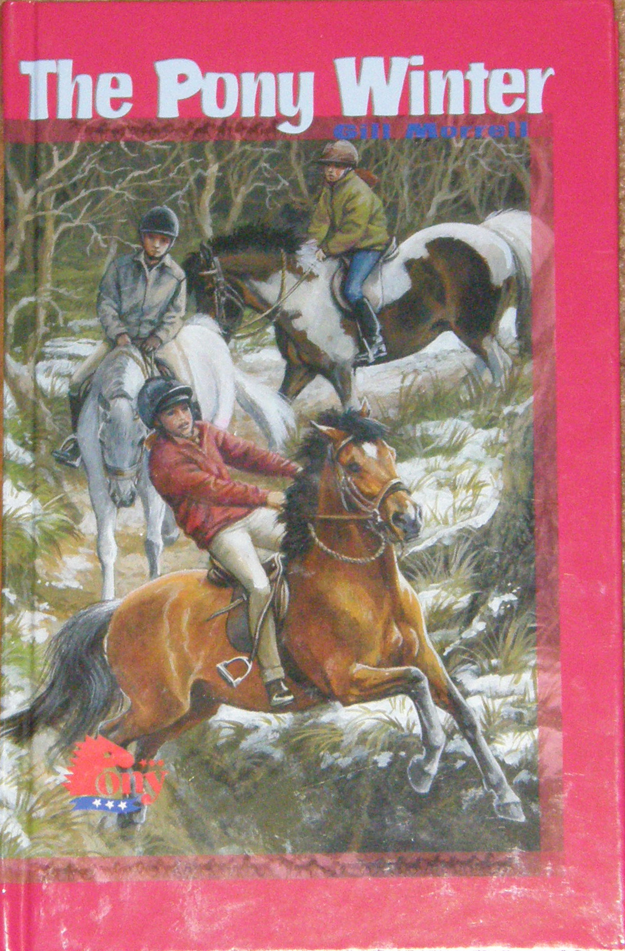 The Pony Winter Horse Book by Gill Morrell