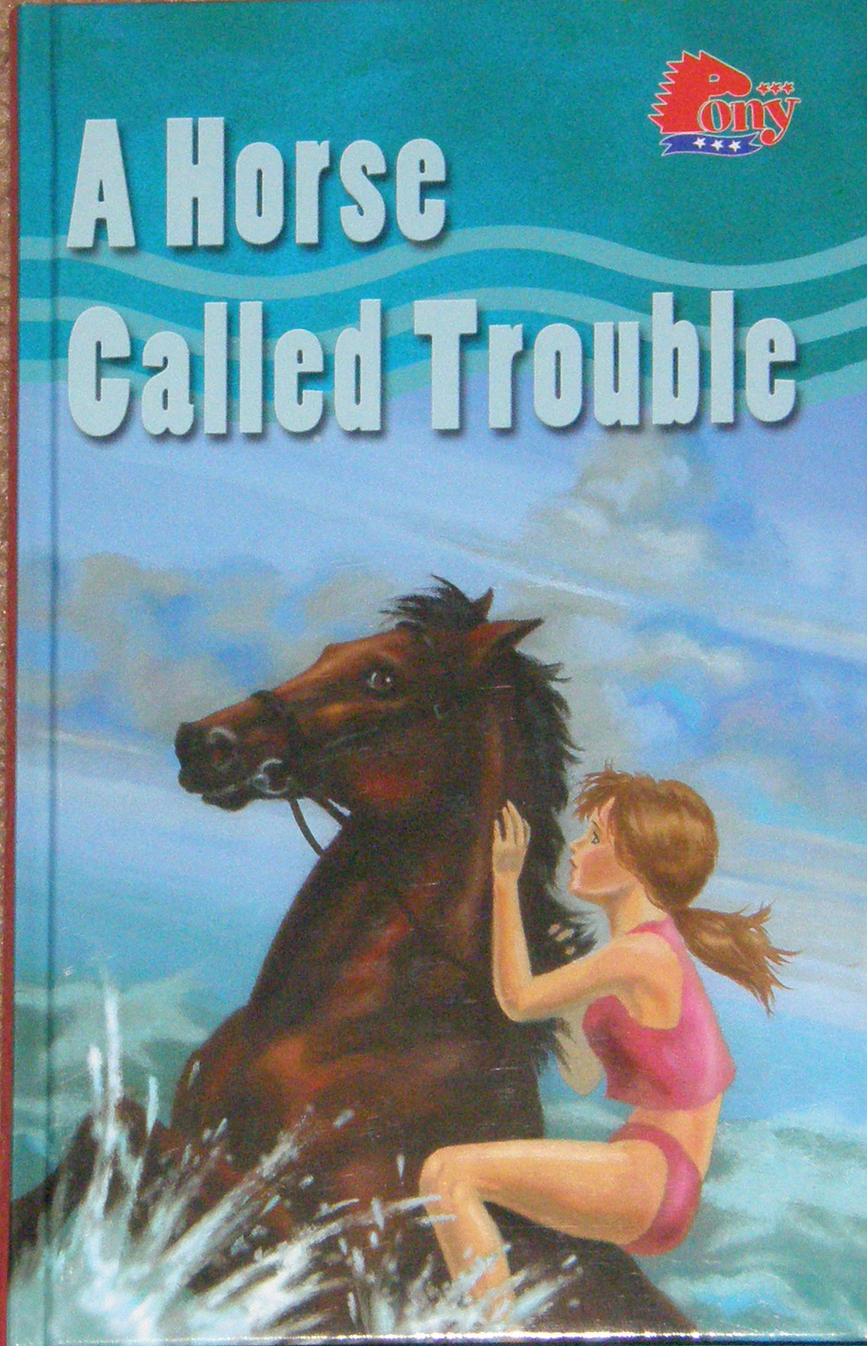 A Horse Called Trouble Horse Book by Jenny Hughes