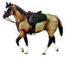 Breyer #1124 Kiwi Australian Stock Horse with Saddle Set Limited Edition 2000 Dun Stock Horse Stallion