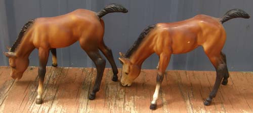#151 Bay Grazing Foal Buttons & Bows