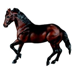 #471 Cody Bay Ranch Horse