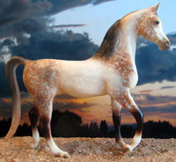 #766 Arabian Stallion Rose Grey Khemosabi Arab