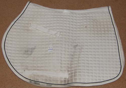 PRI Equestrian Quilted Cotton Pad Continental Pad Event Pad A/P English Saddle Pad White
