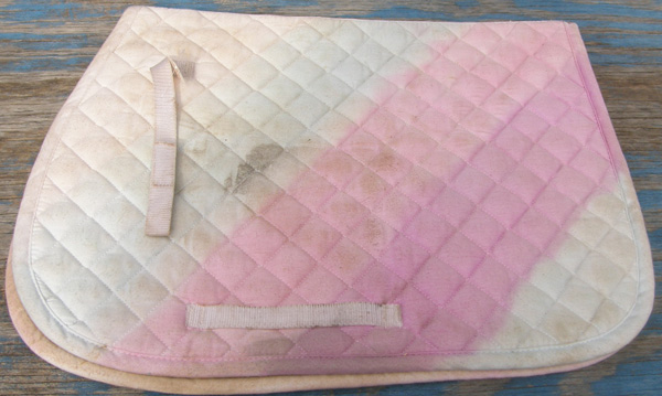 Dover Quilted Cotton Event Pad All Purpose English Saddle Pad Pony Pad Pastel Rainbow