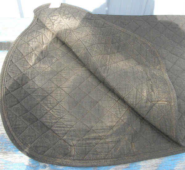 Dover Quilted Cotton Event Pad Dressage Pad All Purpose English Saddle Pad Black