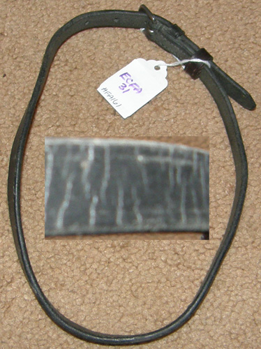 Flash Noseband Strap Replacement Flash Attachment Strap Horse Black