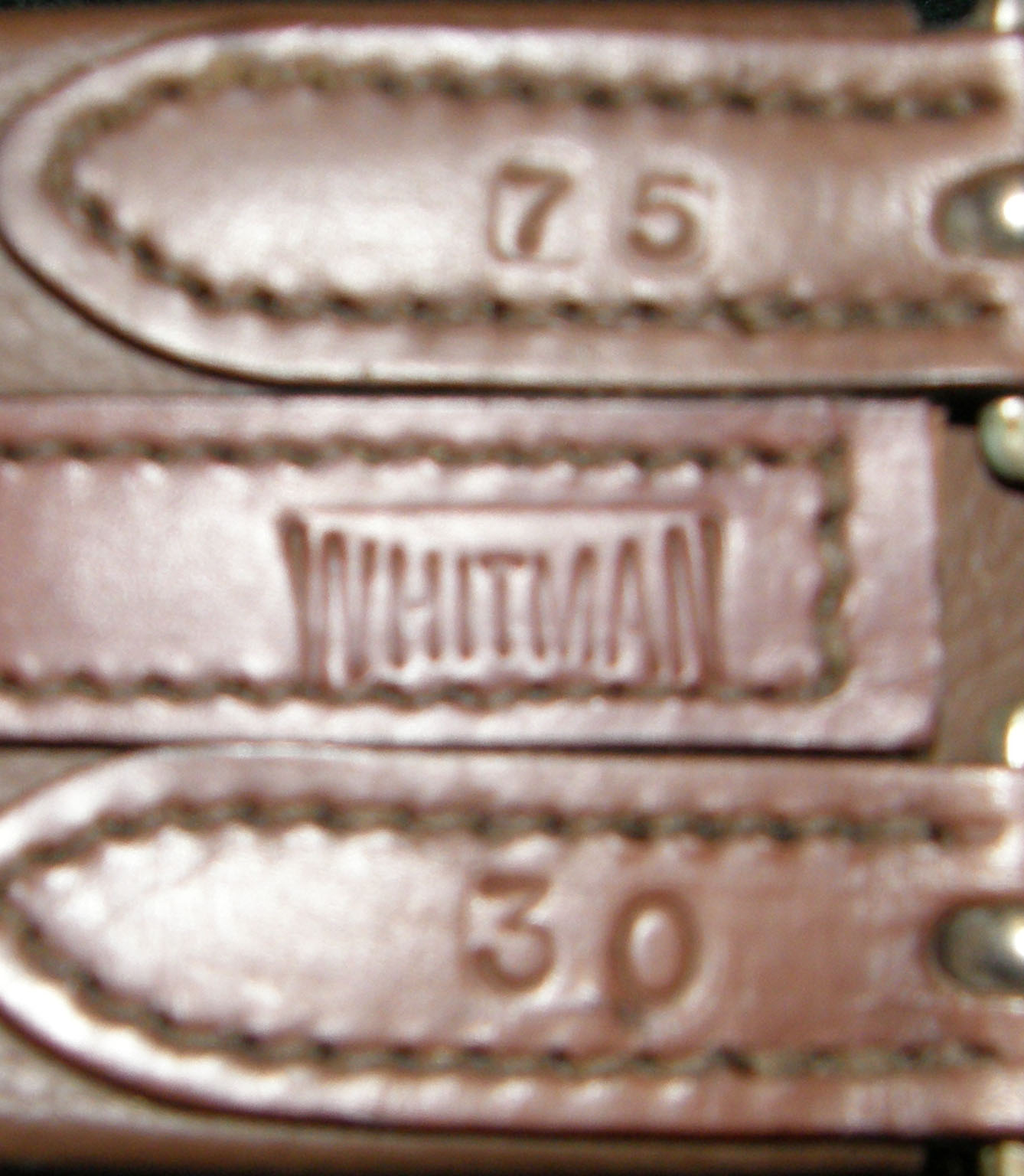 Whitman 32” Padded Leather Dressage Girth English Girth