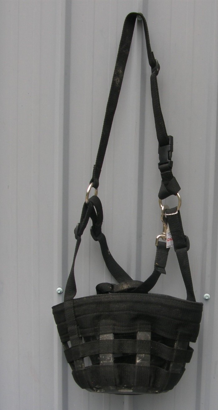 Best Friend Grazing Muzzle Headstall Grazing Muzzle Attached Safety Halter Breakaway Crown L Horse/Draft Horse