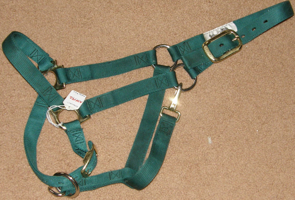 Weaver Adjustable Chin & Throat Snap Halter 1" Small Horse Cob Nylon Halter Hunter Green