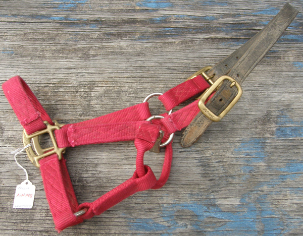 Accent Breakaway Halter Nylon Safety Halter Equi-Snap Leather Crown Cob Halter Red