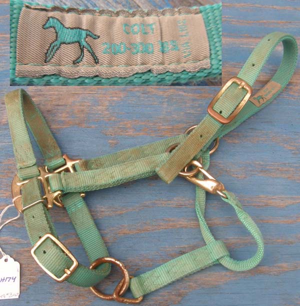 PONY COB HORSE Nylon Halter-Red/ Green Embroidered 'Merry Christmas' CLEARANCE! 