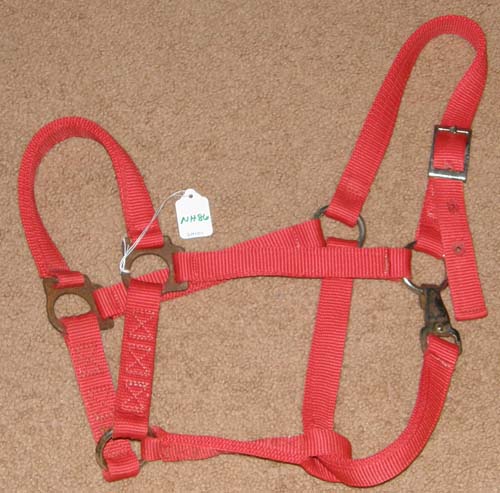 Horse Halter 1” Nylon Halter with Throat Snap Red