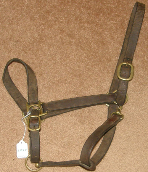 Adjustable Leather Halter with Throat Snap Track Halter Horse Halter
