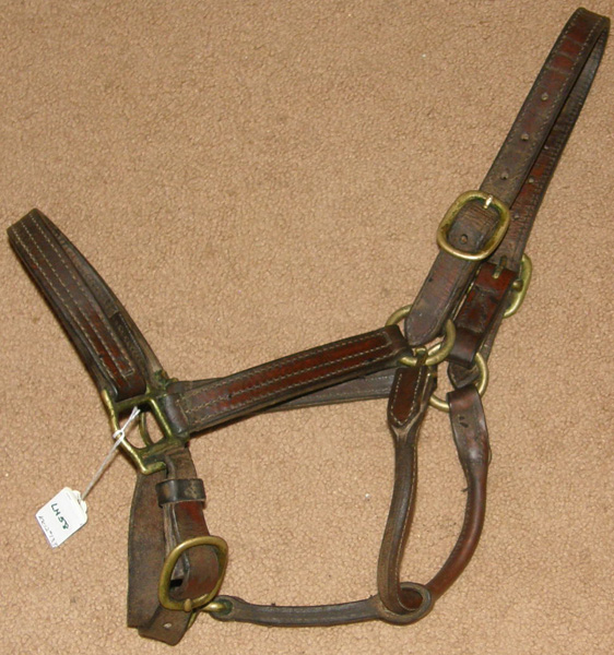 Heavy Duty Adjustable Leather Halter with Throat Snap Track Halter Horse Halter