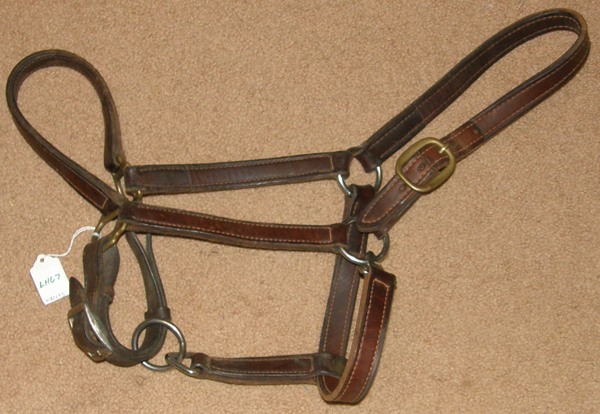 Adjustable Leather Halter Horse Track Halter with Snap Throat Horse/L Horse
