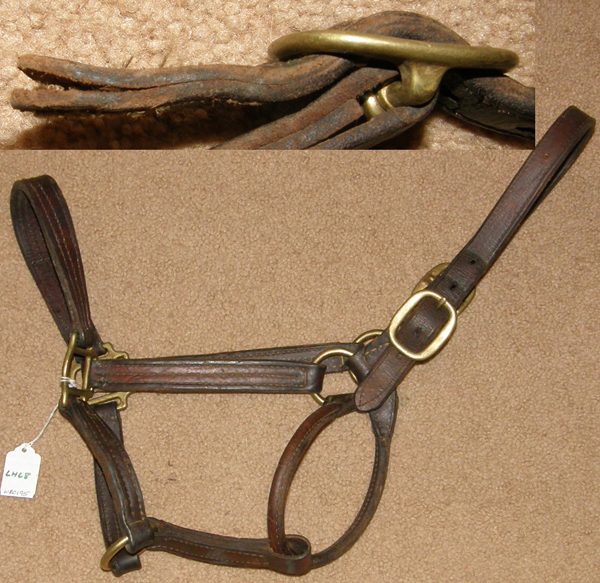 Leather Halter Horse Stable Track Halter Horse