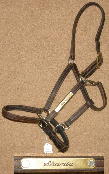 Perri's 3/4" Adjustable Leather Halter with Throat Snap Track Halter Horse Halter Dark Brown