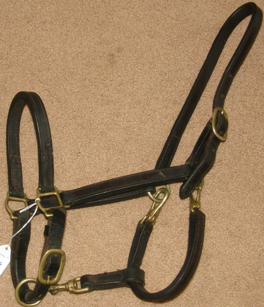 Ovation? 4 Way Stable Grooming Halter Adjustable Leather Halter with Snap Throat Convertible Grooming Halter