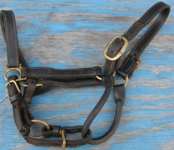 1" Adjustable Leather Halter with Throat Snap Track Halter Horse Halter Dark Brown/Black