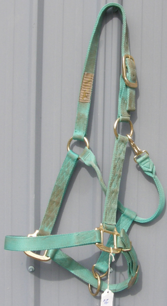 1” Adjustable Chin Throat Snap Halter L Horse Heavy Duty Nylon Halter Throat Snap Teal Green